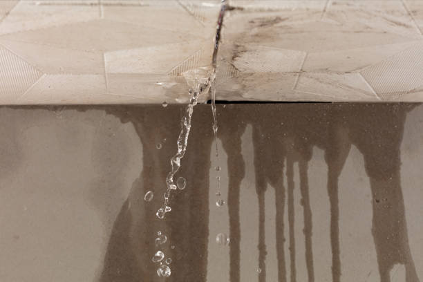 Professional Structural Drying technician working in Palm City, FL